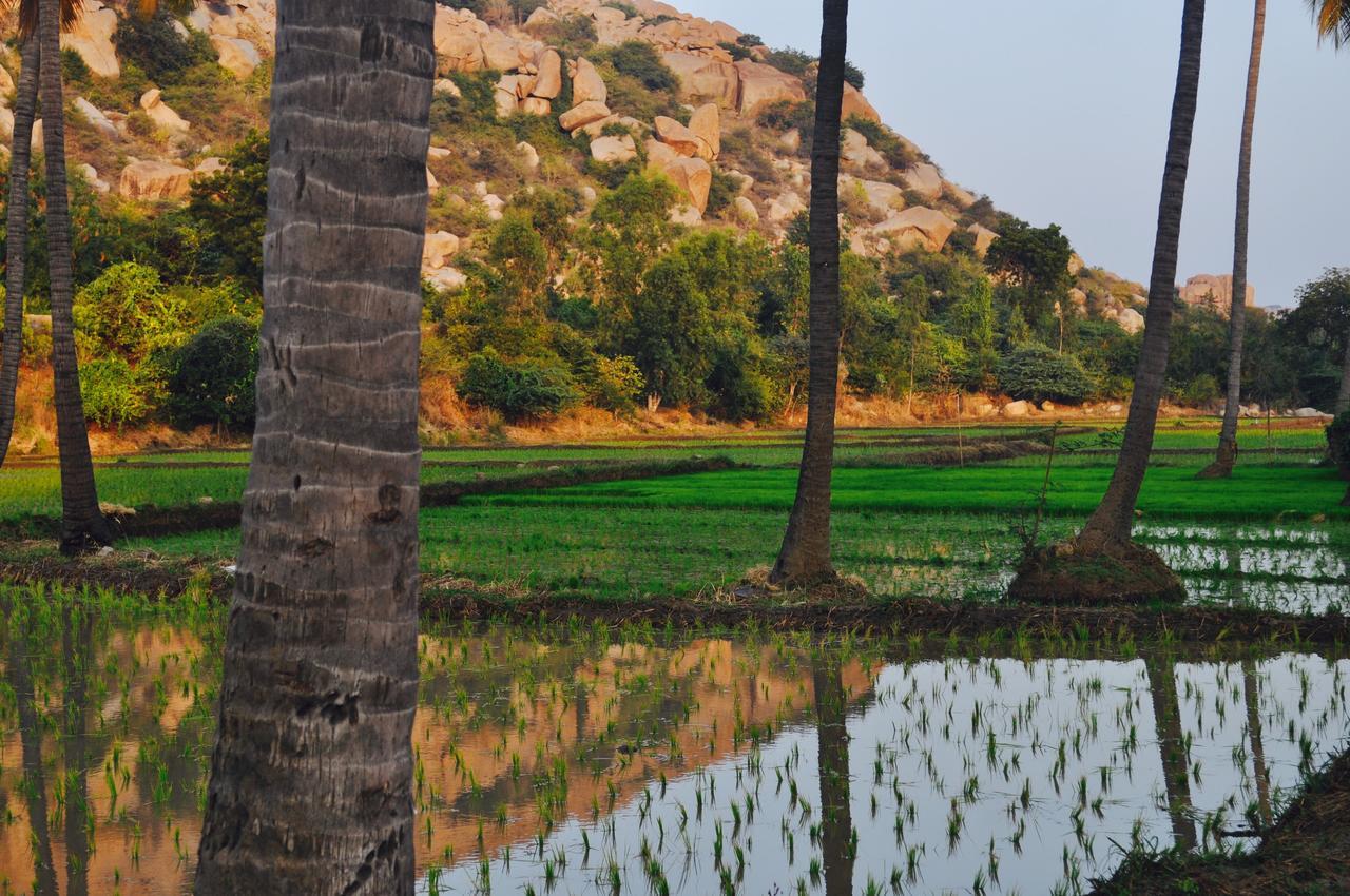 Uma Shankar Hampi Exterior foto